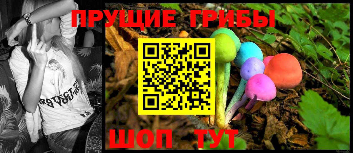 Сибай  Псилоцибиновые грибы Magic Shrooms  Вход с VPN 