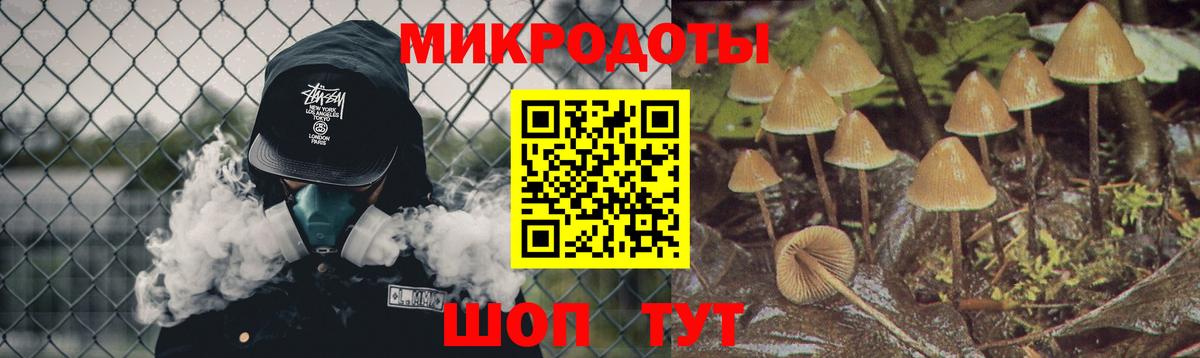 Псилоцибиновые грибы прущие грибы Сибай